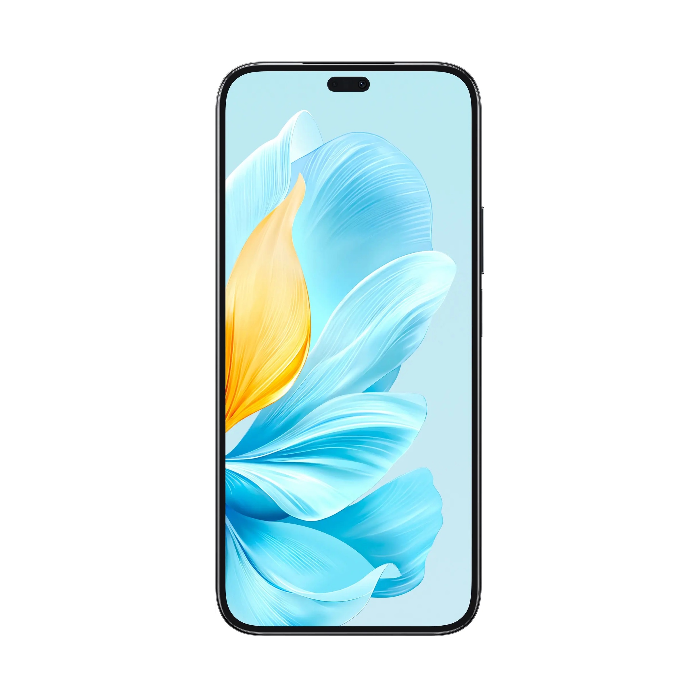 Смартфон Honor 200 Lite 5G 8/256 GB Полночный черный
